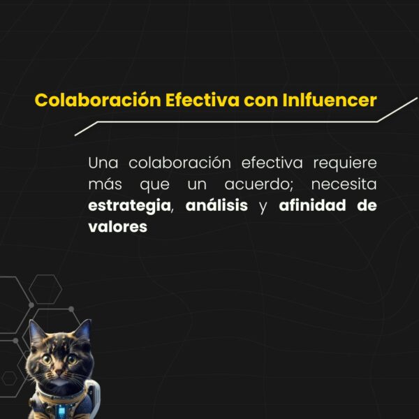 Estrategia Efectiva con Influencer